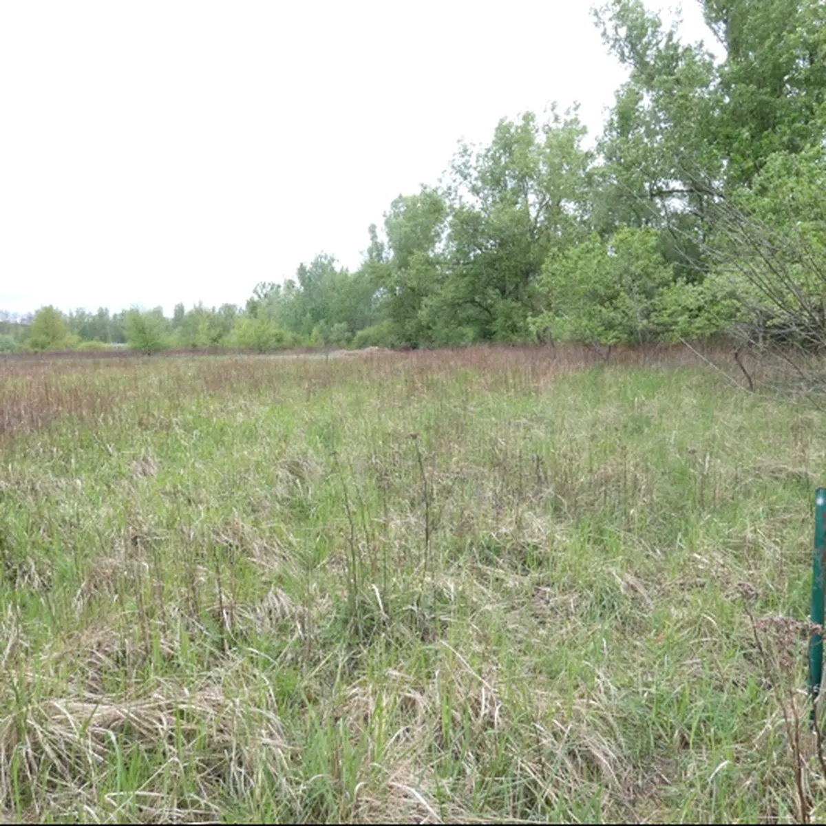 Warszawa – grunt niezabudowany